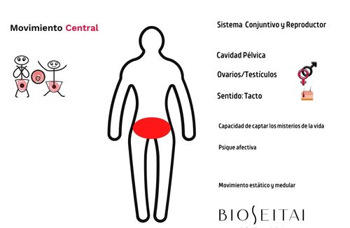 Mapa mental de central del cansancio mentall Seitai Katsugen undo Laura lopez Coto